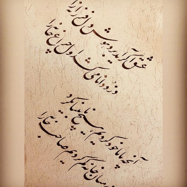 317980309_155328600209229_4809615898177139039_n