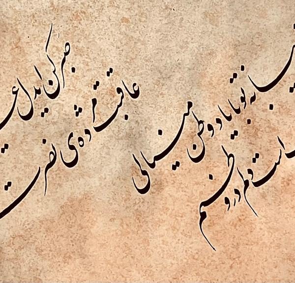 WhatsApp Image 2025-01-20 at 01.08.41