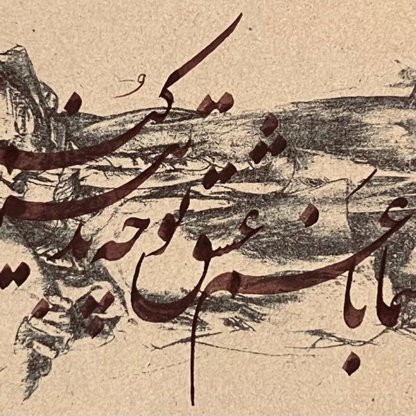 WhatsApp Image 2025-01-20 at 01.36.17