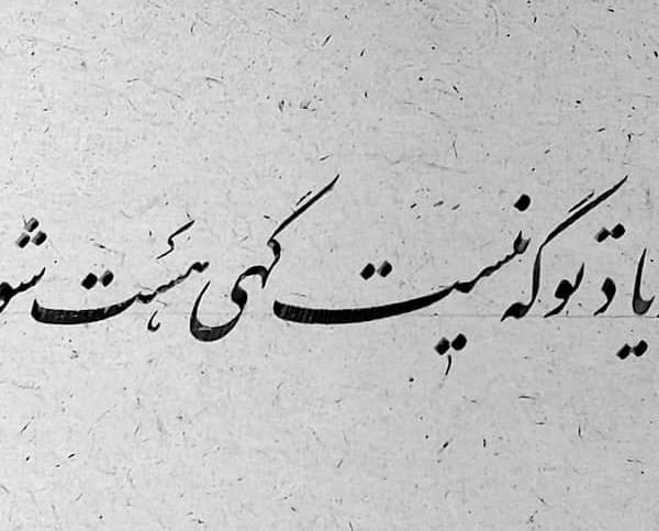 WhatsApp Image 2025-01-20 at 01.46.08