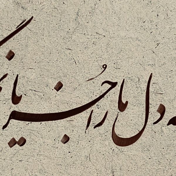 photo_2025-01-02_09-51-26