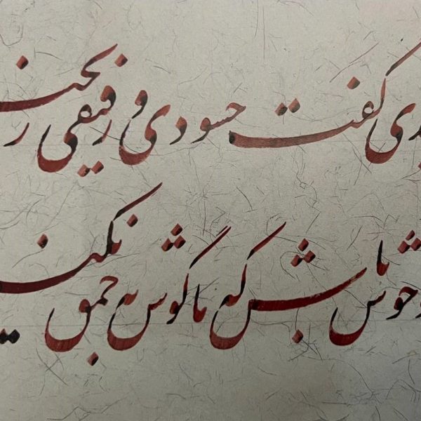 photo_2025-01-02_11-08-36