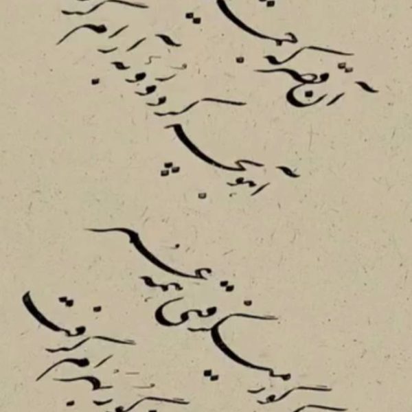 photo_2025-02-28_21-20-20