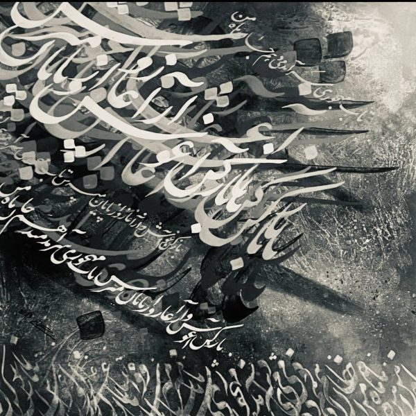 photo_2025-02-28_21-20-22