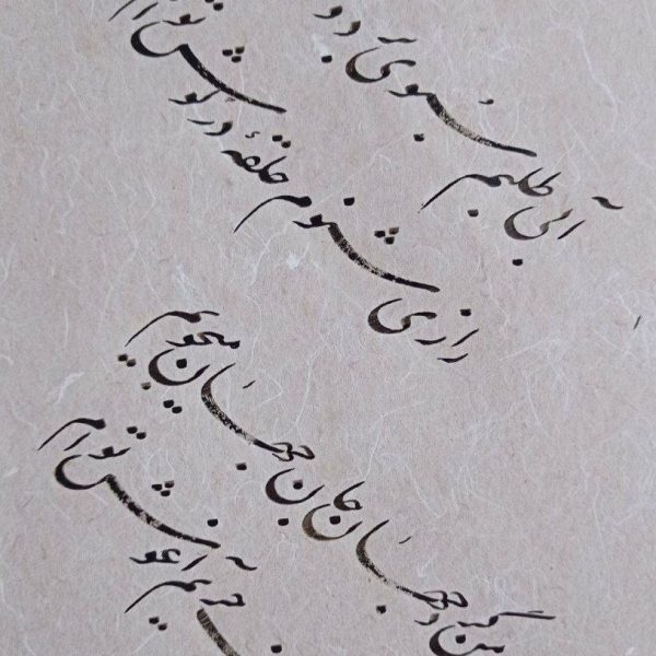 photo_2025-02-28_21-20-28