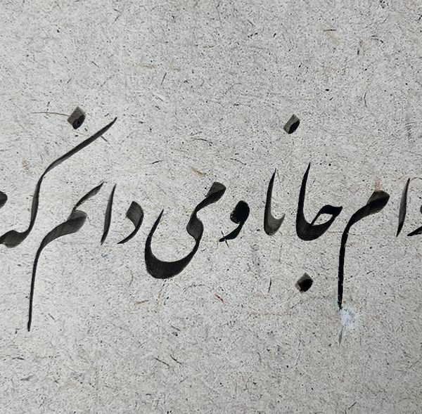 photo_2025-02-28_21-20-31