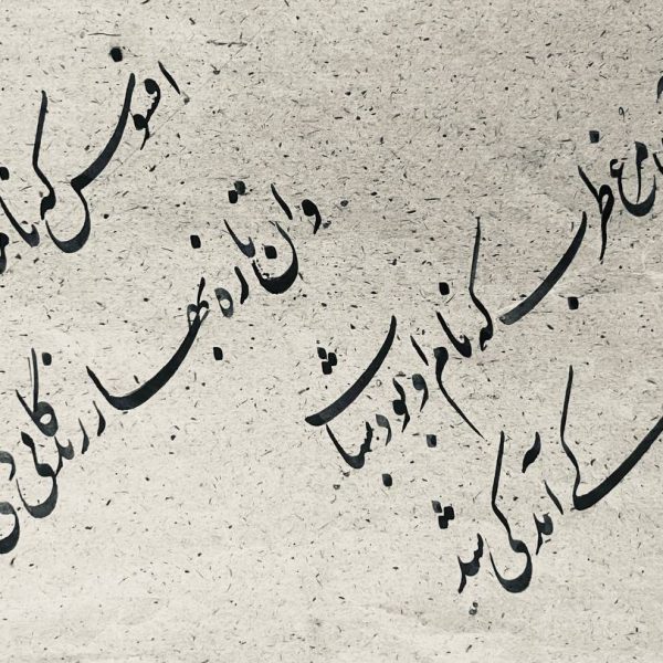 photo_2025-02-28_21-20-37