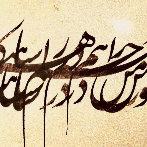 WhatsApp Image 2025-04-07 at 13.46.00